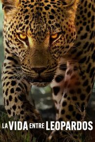 VER La vida entre leopardos Online Gratis HD