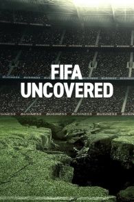 VER Los entresijos de la FIFA Online Gratis HD