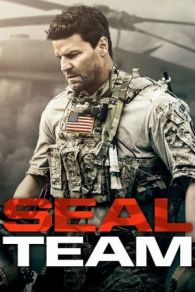 VER SEAL Team Online Gratis HD